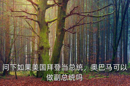 問下如果美國拜登當(dāng)總統(tǒng)，奧巴馬可以做副總統(tǒng)嗎