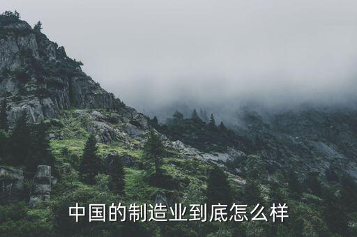 中國(guó)的制造業(yè)到底怎么樣