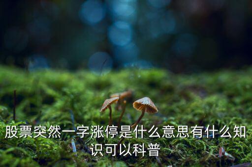 股票突然一字漲停是什么意思有什么知識可以科普