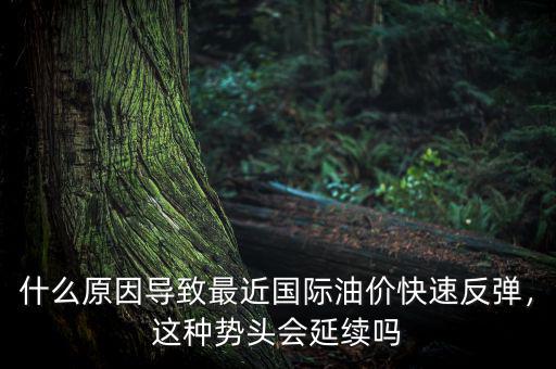 什么原因?qū)е伦罱鼑H油價快速反彈，這種勢頭會延續(xù)嗎