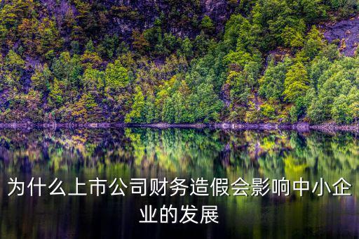 為什么上市公司財(cái)務(wù)造假會(huì)影響中小企業(yè)的發(fā)展