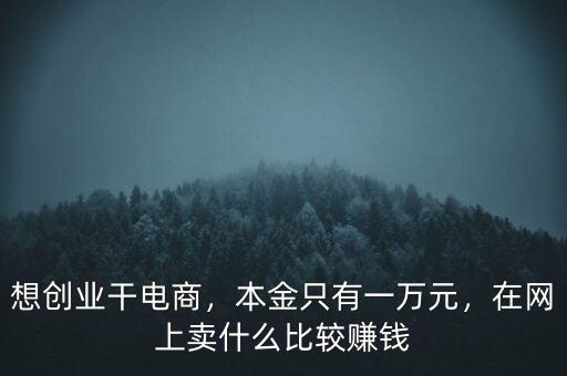 想創(chuàng)業(yè)干電商，本金只有一萬元，在網(wǎng)上賣什么比較賺錢