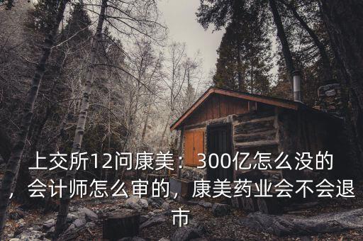 上交所12問康美：300億怎么沒的，會計師怎么審的，康美藥業(yè)會不會退市