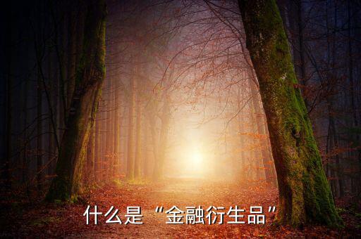 為什么金融衍生物可以避險(xiǎn),其它還有什么是避險(xiǎn)資產(chǎn)嗎