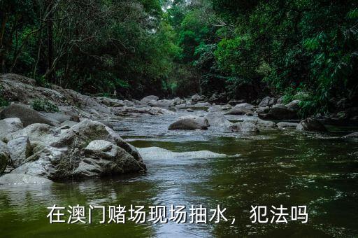 在澳門賭場現(xiàn)場抽水，犯法嗎