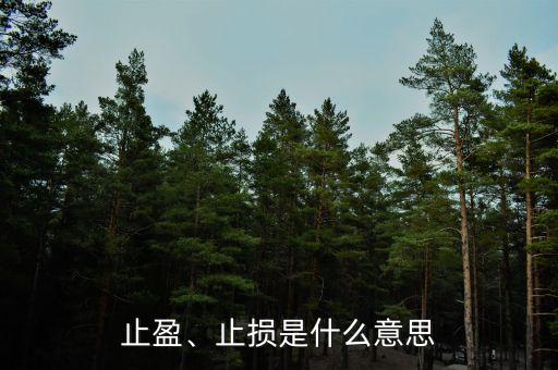 止盈、止損是什么意思