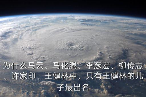 為什么馬云、馬化騰、李彥宏、柳傳志、許家印、王健林中，只有王健林的兒子最出名