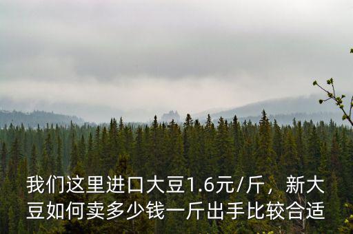 我們這里進口大豆1.6元/斤，新大豆如何賣多少錢一斤出手比較合適