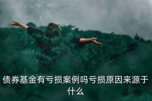 債券為什么虧損,債券基金有虧損案例嗎