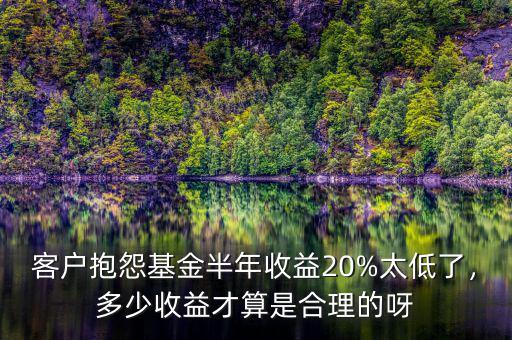 客戶抱怨基金半年收益20%太低了，多少收益才算是合理的呀