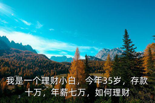 我是一個理財小白，今年35歲，存款十萬，年薪七萬，如何理財