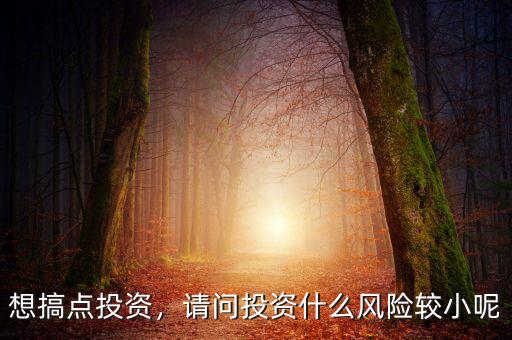 什么投資風(fēng)險最小,風(fēng)險最小的投資是什么