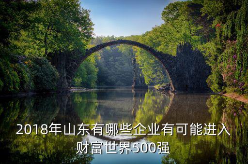 2018年山東有哪些企業(yè)有可能進(jìn)入財(cái)富世界500強(qiáng)