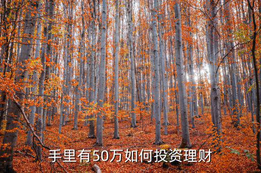 50萬怎么辦理財(cái)金,手里有50萬如何投資理財(cái)