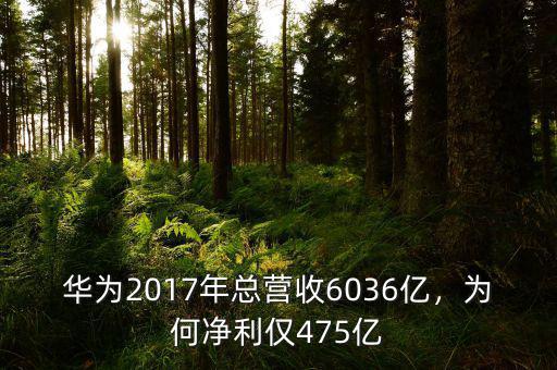 華為2017年總營收6036億，為何凈利僅475億