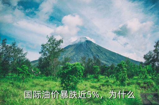 國際油價暴跌近5%，為什么