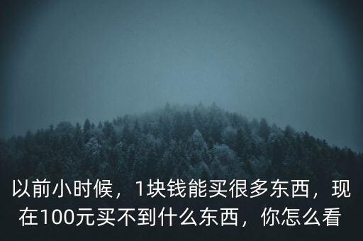 以前小時(shí)候，1塊錢能買很多東西，現(xiàn)在100元買不到什么東西，你怎么看