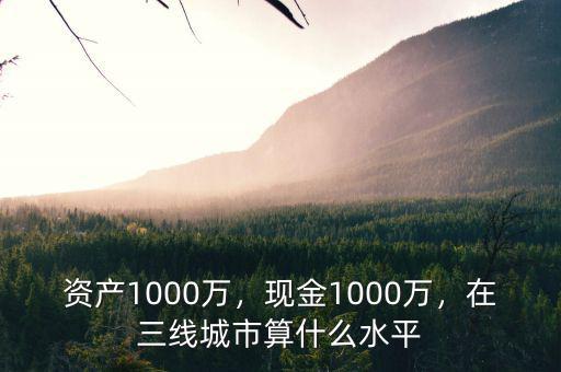 1000萬(wàn)資產(chǎn)算什么人群,資產(chǎn)1000萬(wàn)