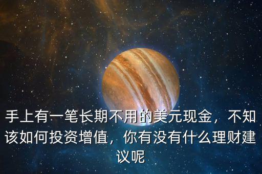 手上有一筆長期不用的美元現(xiàn)金，不知該如何投資增值，你有沒有什么理財建議呢