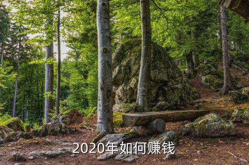 2020年如何賺錢(qián)