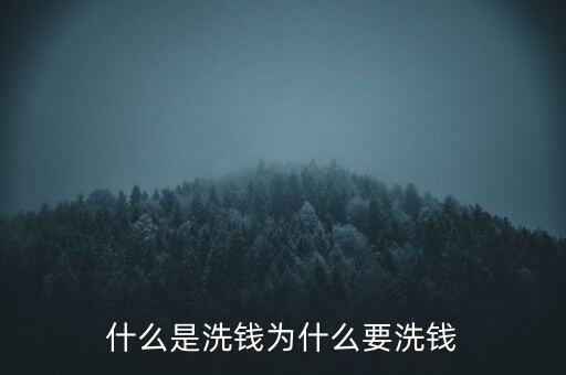 什么是洗錢為什么要洗錢