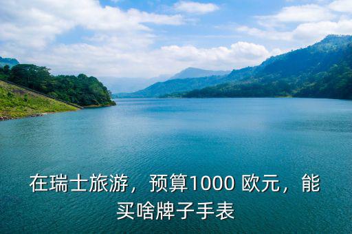 歐元900在法國(guó)能買(mǎi)什么表,500歐元在瑞士能買(mǎi)什么表