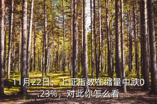 11月22日，上證指數(shù)在縮量中跌0.23%，對(duì)此你怎么看