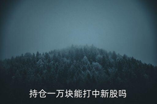 持倉(cāng)一萬(wàn)塊能打中新股嗎