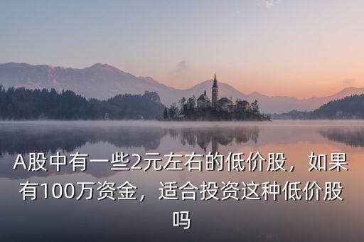 A股中有一些2元左右的低價股，如果有100萬資金，適合投資這種低價股嗎