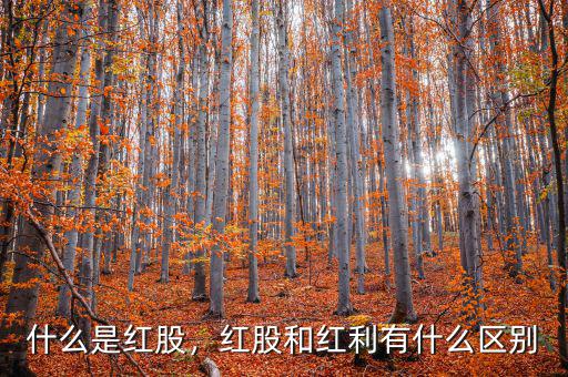 什么是紅股，紅股和紅利有什么區(qū)別