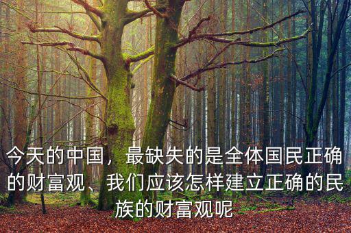 今天的中國，最缺失的是全體國民正確的財富觀、我們應(yīng)該怎樣建立正確的民族的財富觀呢