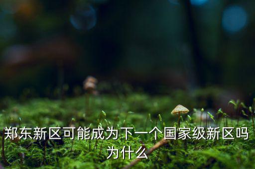 鄭東新區(qū)可能成為下一個國家級新區(qū)嗎為什么