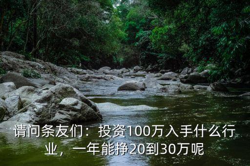 請問條友們：投資100萬入手什么行業(yè)，一年能掙20到30萬呢