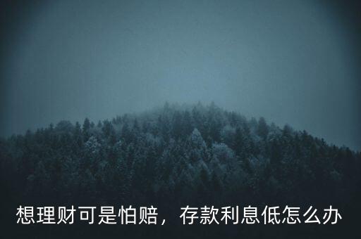 銀行利息低怎么理財,存款利息低怎么辦