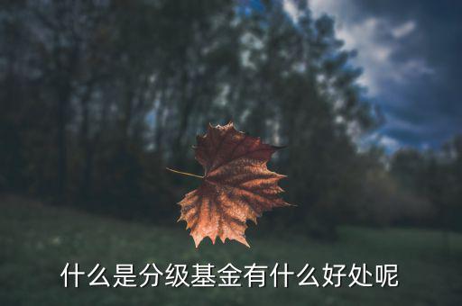 基金評(píng)級(jí)有什么意義,有什么好處呢