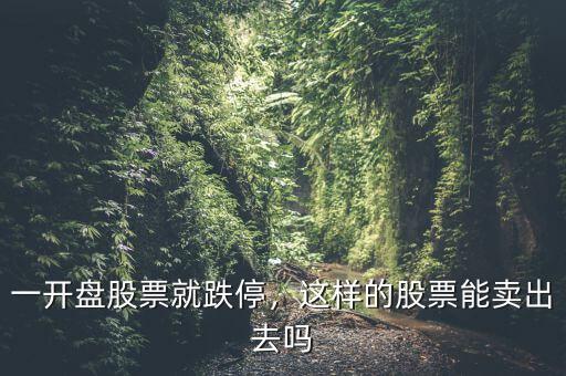 一開盤股票就跌停，這樣的股票能賣出去嗎