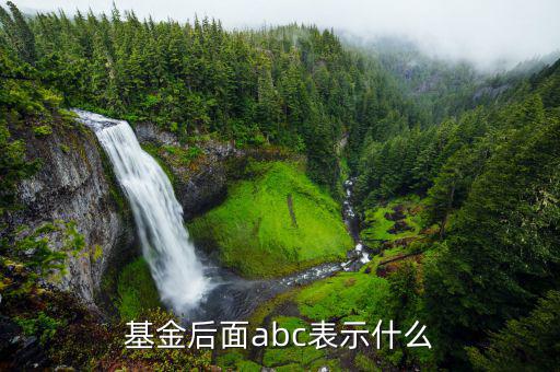 基金后面abc表示什么