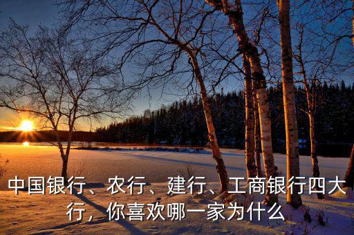 中國(guó)銀行、農(nóng)行、建行、工商銀行四大行，你喜歡哪一家為什么