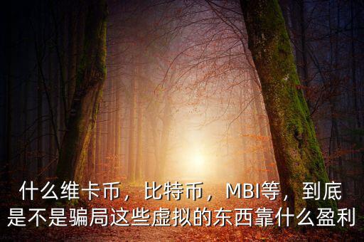 什么維卡幣，比特幣，MBI等，到底是不是騙局這些虛擬的東西靠什么盈利