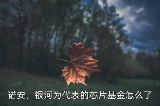 諾安，銀河為代表的芯片基金怎么了