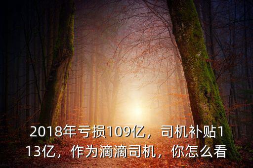 2018年虧損109億，司機(jī)補(bǔ)貼113億，作為滴滴司機(jī)，你怎么看