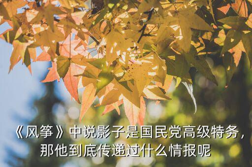 《風箏》中說影子是國民黨高級特務，那他到底傳遞過什么情報呢