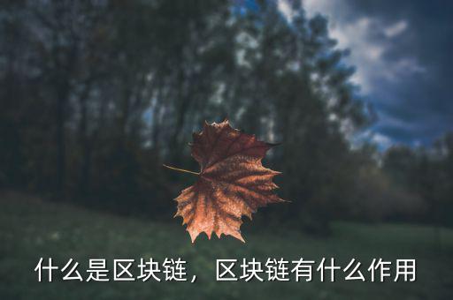 什么是區(qū)塊鏈，區(qū)塊鏈有什么作用