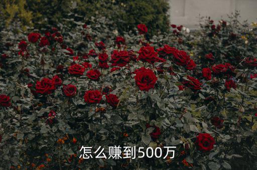 怎么賺個500萬,怎么賺到500萬