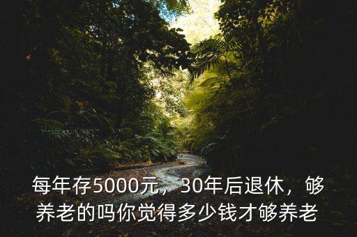 每年存5000元，30年后退休，夠養(yǎng)老的嗎你覺(jué)得多少錢(qián)才夠養(yǎng)老