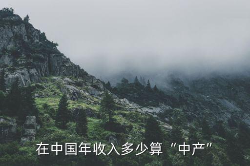 在中國年收入多少算“中產(chǎn)”