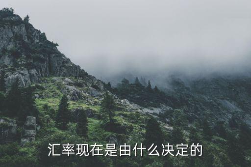 匯率現(xiàn)在是由什么決定的