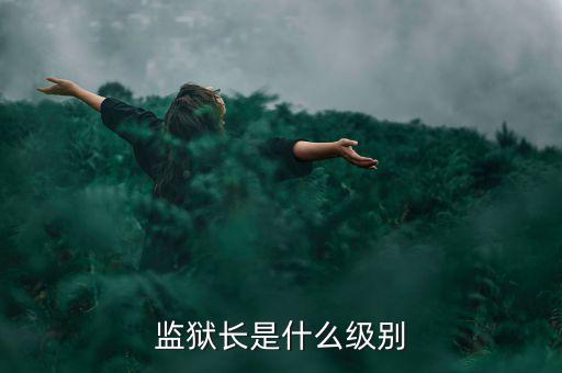 監(jiān)獄長(zhǎng)是什么級(jí)別