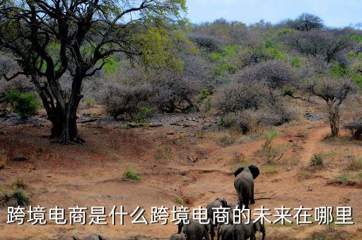 為什么俄羅斯女性會經(jīng)常在跨境電商上消費,為什么到處都在宣傳跨境電商