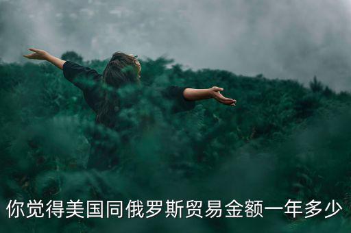 你覺得美國同俄羅斯貿(mào)易金額一年多少